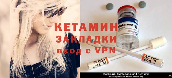 сатива Армянск