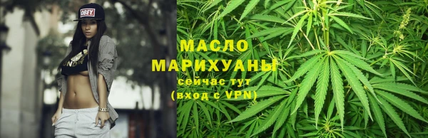 сатива Армянск