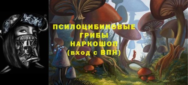 сатива Армянск