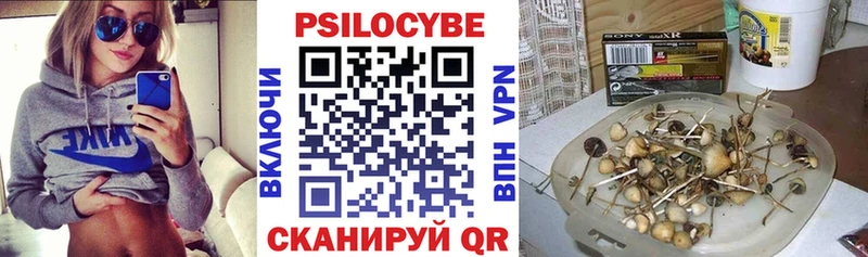 ОМГ ОМГ маркетплейс  Починок  Галлюциногенные грибы мухоморы 